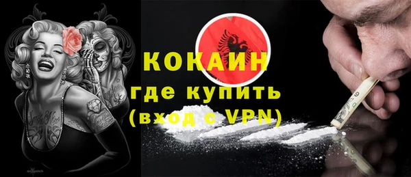 хмурый Алексин