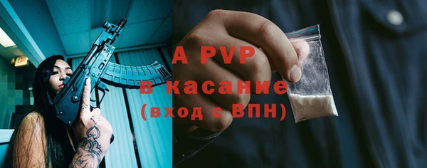 хмурый Алексин