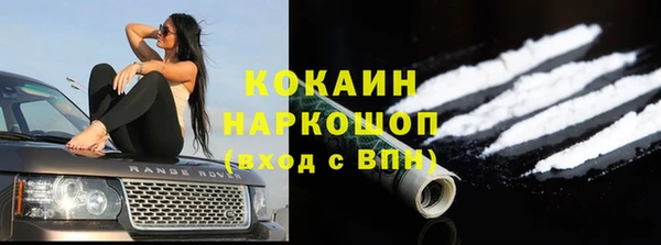хмурый Алексин