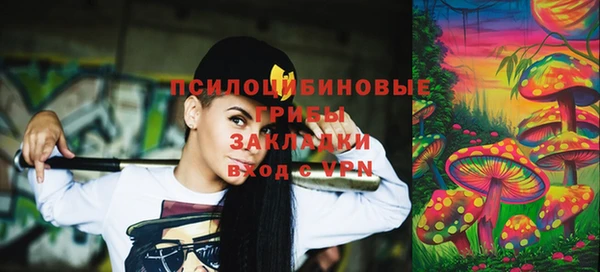 хмурый Алексин