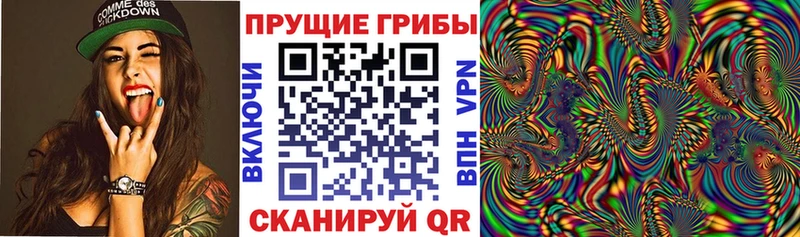 Псилоцибиновые грибы GOLDEN TEACHER  Челябинск 