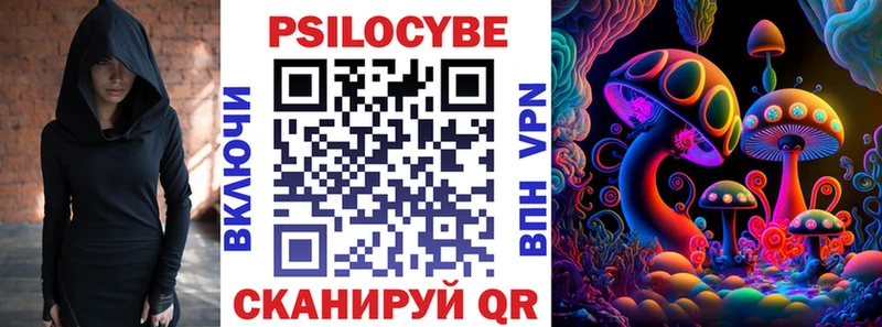 Псилоцибиновые грибы Psilocybe Челябинск